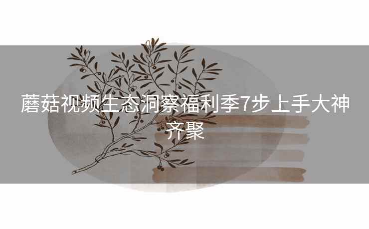 蘑菇视频生态洞察福利季7步上手大神齐聚