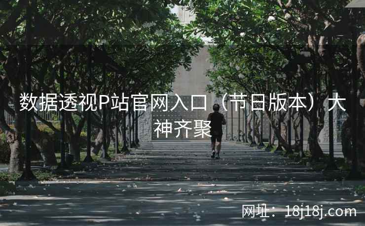 数据透视P站官网入口（节日版本）大神齐聚