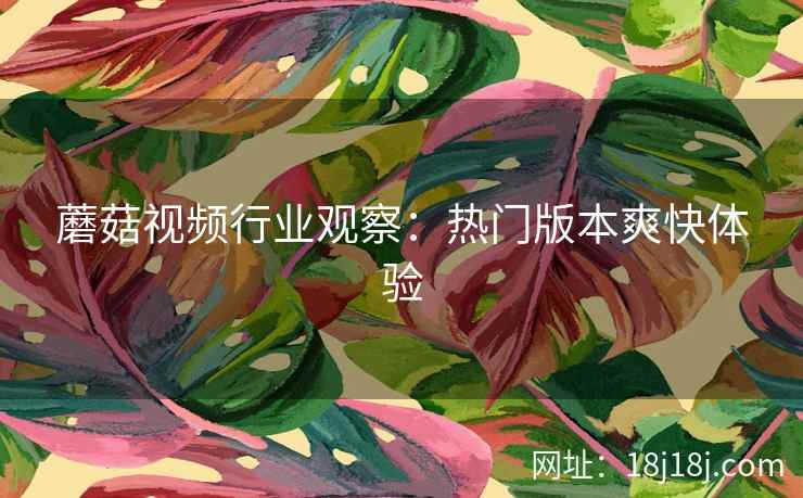 蘑菇视频行业观察：热门版本爽快体验  第1张