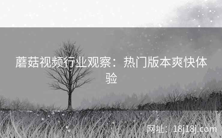 蘑菇视频行业观察：热门版本爽快体验  第2张