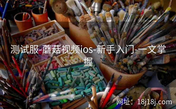 测试服-蘑菇视频ios-新手入门-一文掌握  第2张