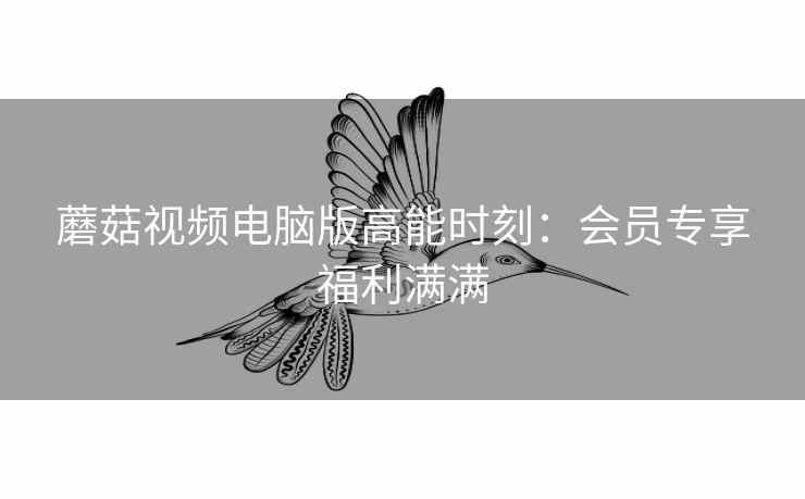 蘑菇视频电脑版高能时刻：会员专享福利满满