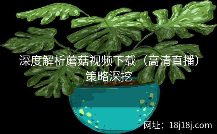 深度解析蘑菇视频下载（高清直播）策略深挖  第2张
