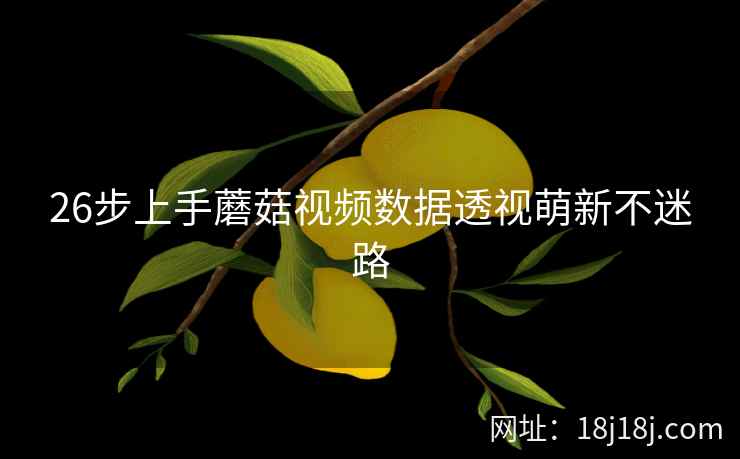 26步上手蘑菇视频数据透视萌新不迷路