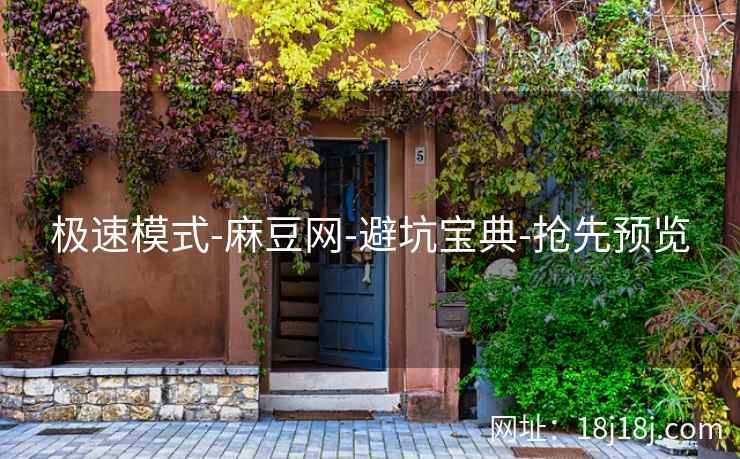 极速模式-麻豆网-避坑宝典-抢先预览  第1张