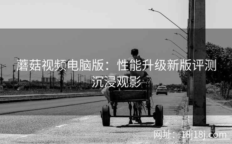 蘑菇视频电脑版：性能升级新版评测沉浸观影  第2张
