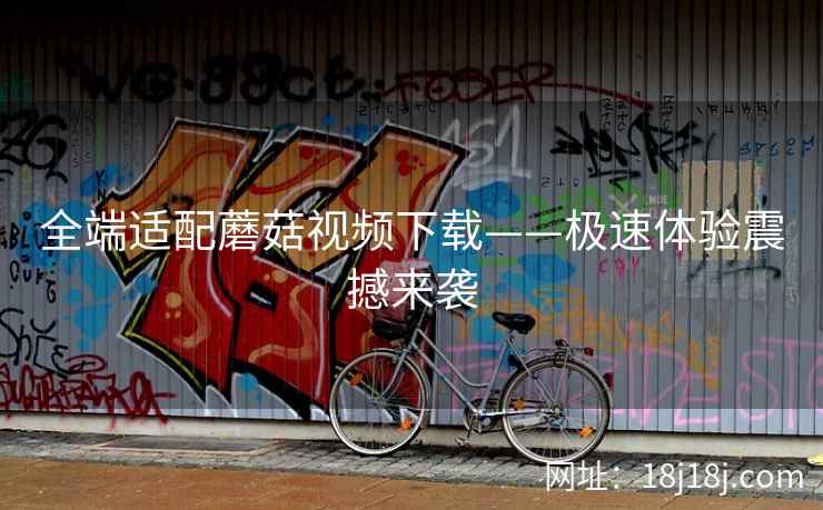 全端适配蘑菇视频下载——极速体验震撼来袭  第2张
