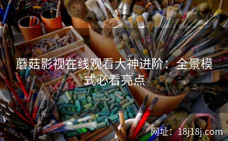 蘑菇影视在线观看大神进阶：全景模式必看亮点