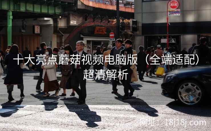十大亮点蘑菇视频电脑版（全端适配）超清解析