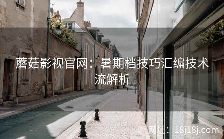 蘑菇影视官网：暑期档技巧汇编技术流解析  第2张
